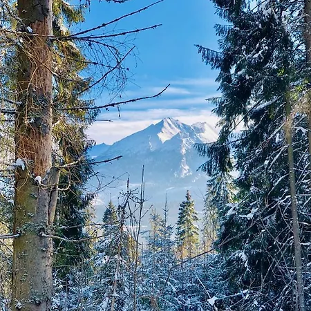 Lejlighed Kucovka 11